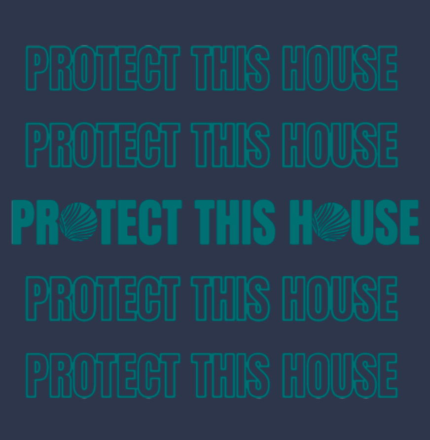 Navy Protect This House Hoodie